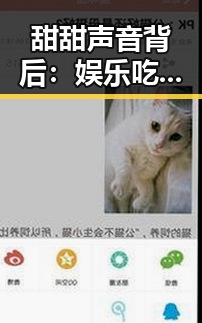 甜甜声音背后:娱乐吃瓜酱的崛起与影响