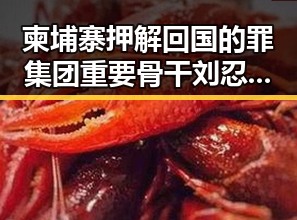 柬埔寨押解回国的罪集团重要骨干刘忍曝光，香港艺人黄百鸣今日即刻入狱引发关注
